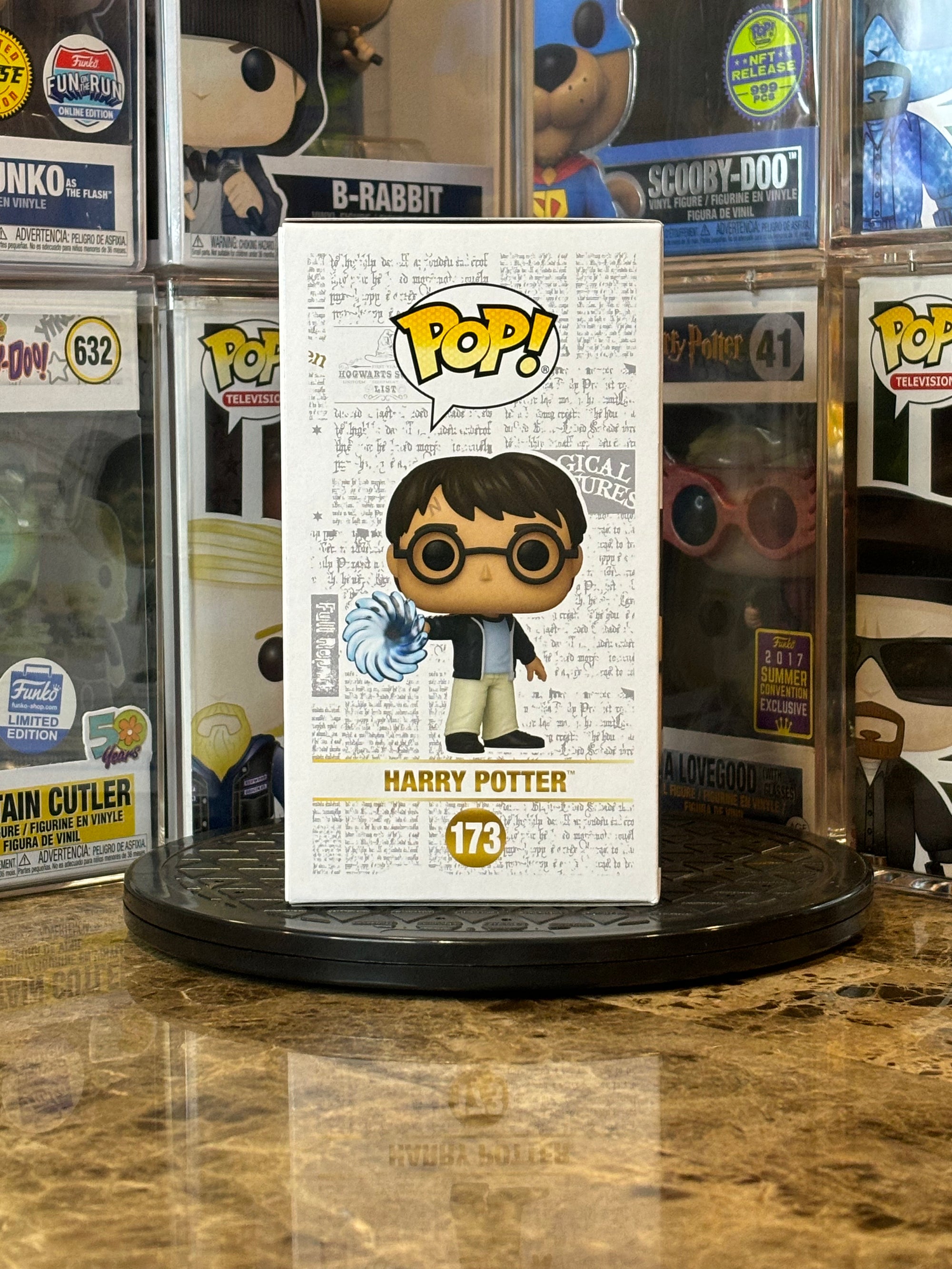 Funko Pop Harry Potter #173 2024 SCLE